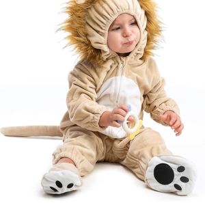Baby Lion costume